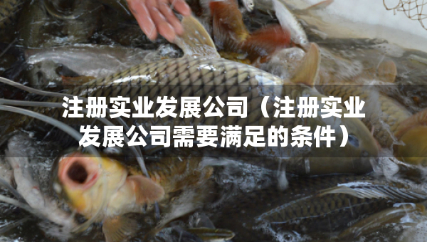 注冊實(shí)業(yè)發(fā)展公司（注冊實(shí)業(yè)發(fā)展公司需要滿足的條件）