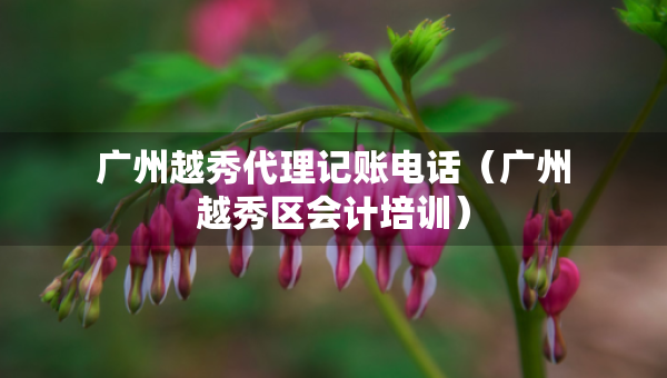 廣州越秀代理記賬電話（廣州越秀區(qū)會計培訓(xùn)）