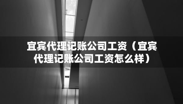 宜賓代理記賬公司工資（宜賓代理記賬公司工資怎么樣）