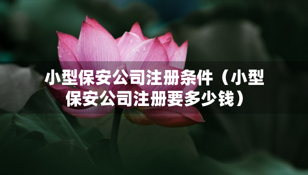 小型保安公司注冊條件（小型保安公司注冊要多少錢）