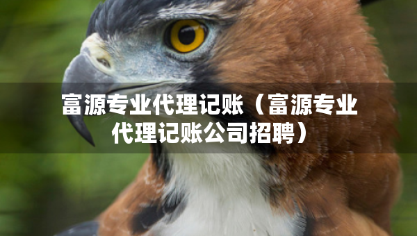 富源專業(yè)代理記賬（富源專業(yè)代理記賬公司招聘）