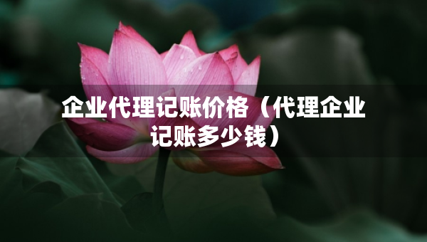 企業(yè)代理記賬價(jià)格（代理企業(yè)記賬多少錢）