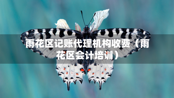 雨花區(qū)記賬代理機構(gòu)收費（雨花區(qū)會計培訓(xùn)）