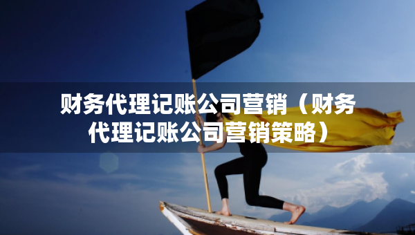 財務代理記賬公司營銷（財務代理記賬公司營銷策略）