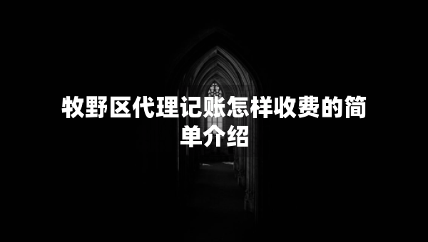 牧野區(qū)代理記賬怎樣收費(fèi)的簡單介紹