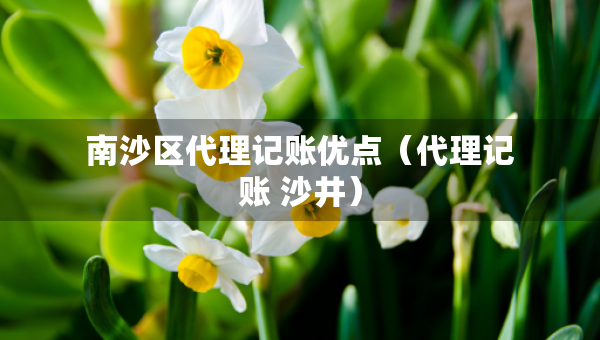 南沙區(qū)代理記賬優(yōu)點(diǎn)（代理記賬 沙井）