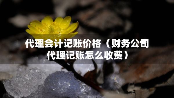 代理會計記賬價格（財務(wù)公司代理記賬怎么收費）