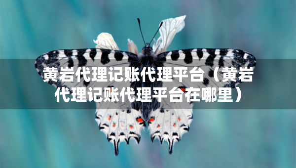 黃巖代理記賬代理平臺（黃巖代理記賬代理平臺在哪里）