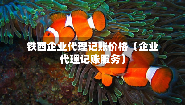 鐵西企業(yè)代理記賬價格（企業(yè)代理記賬服務(wù)）