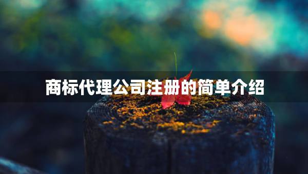 商標(biāo)代理公司注冊的簡單介紹