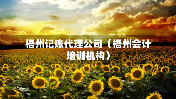 梧州記賬代理公司（梧州會計培訓(xùn)機構(gòu)）