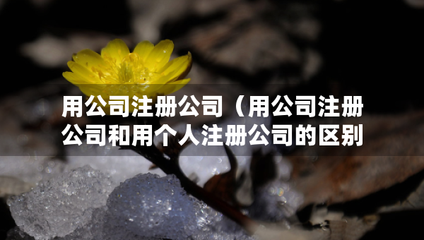 用公司注冊公司（用公司注冊公司和用個人注冊公司的區(qū)別）