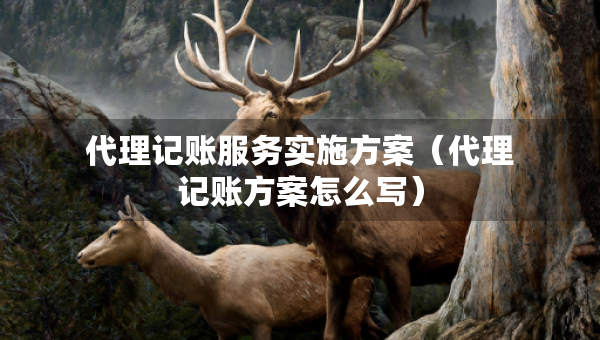 代理記賬服務(wù)實(shí)施方案（代理記賬方案怎么寫(xiě)）