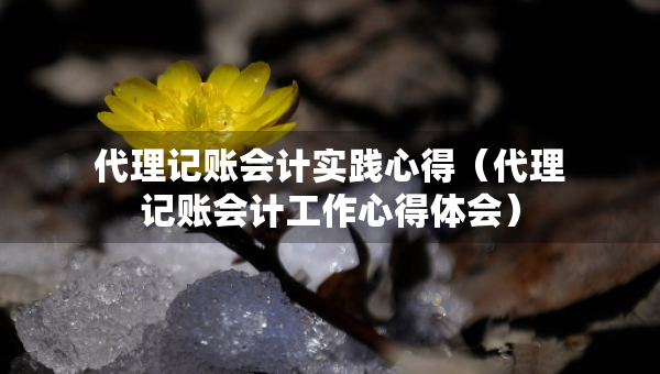 代理記賬會計實(shí)踐心得（代理記賬會計工作心得體會）