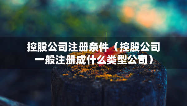 控股公司注冊(cè)條件（控股公司一般注冊(cè)成什么類型公司）