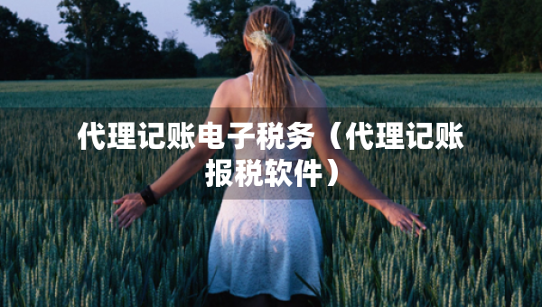 代理記賬電子稅務（代理記賬報稅軟件）