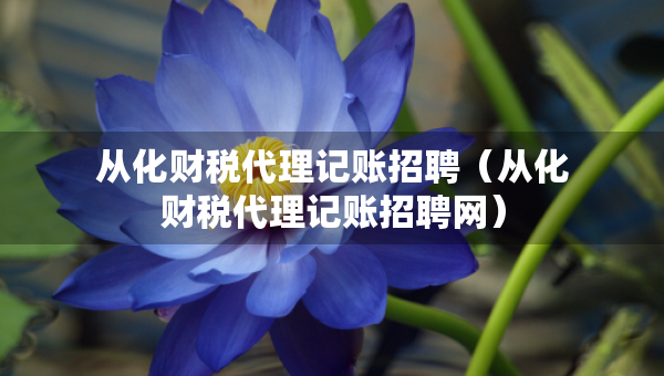 從化財(cái)稅代理記賬招聘(從化財(cái)稅代理記賬招聘網(wǎng)) 從化財(cái)稅代理記賬招聘(從化財(cái)稅代理記賬招聘網(wǎng))