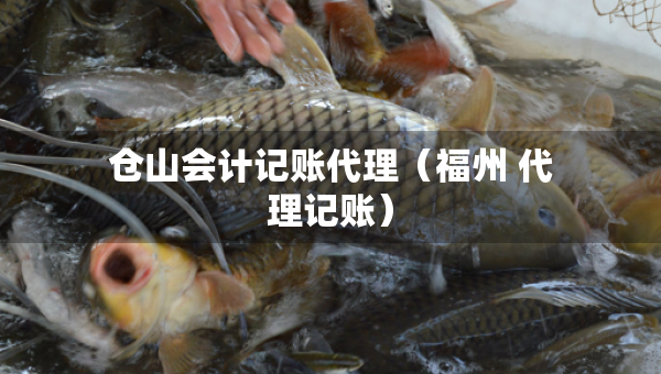 倉山會計記賬代理（福州 代理記賬）