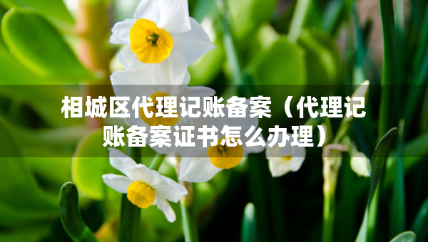 相城區(qū)代理記賬備案（代理記賬備案證書怎么辦理）