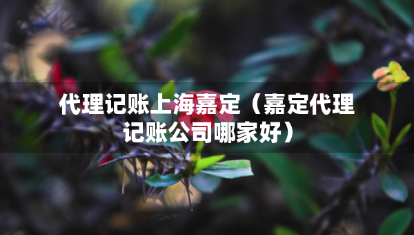代理記賬上海嘉定（嘉定代理記賬公司哪家好）