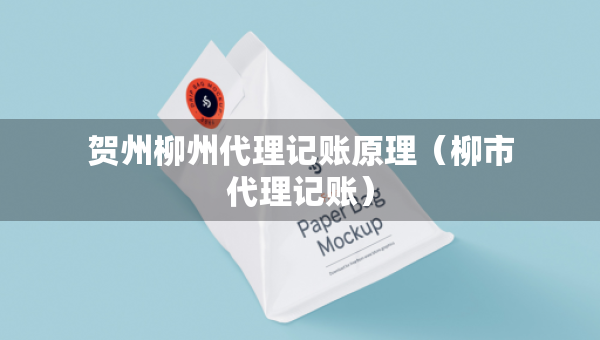 賀州柳州代理記賬原理（柳市代理記賬）