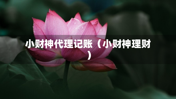 小財(cái)神代理記賬（小財(cái)神理財(cái)）
