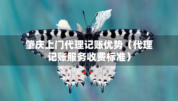 肇慶上門代理記賬優(yōu)勢(shì)（代理記賬服務(wù)收費(fèi)標(biāo)準(zhǔn)）