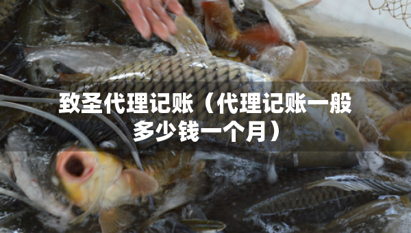 致圣代理記賬（代理記賬一般多少錢一個(gè)月）