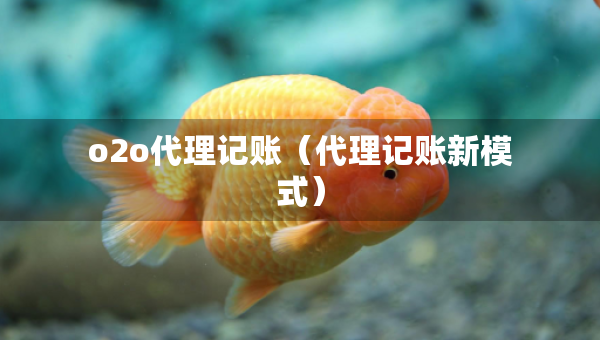 o2o代理記賬（代理記賬新模式）