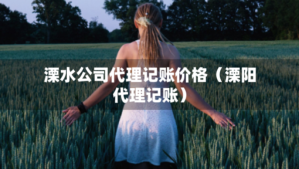 溧水公司代理記賬價(jià)格（溧陽代理記賬）