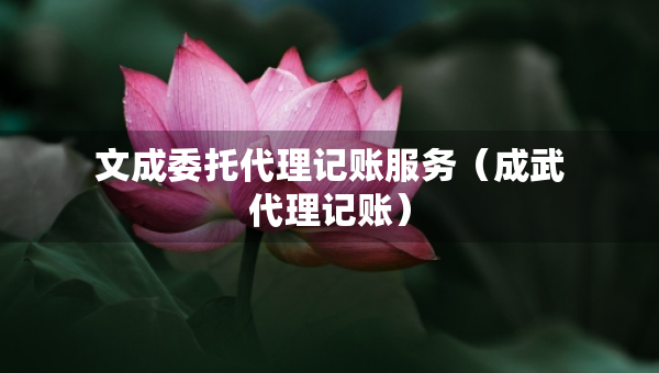 文成委托代理記賬服務(wù)（成武代理記賬）