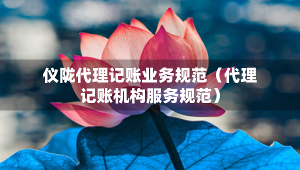 儀隴代理記賬業(yè)務(wù)規(guī)范（代理記賬機(jī)構(gòu)服務(wù)規(guī)范）
