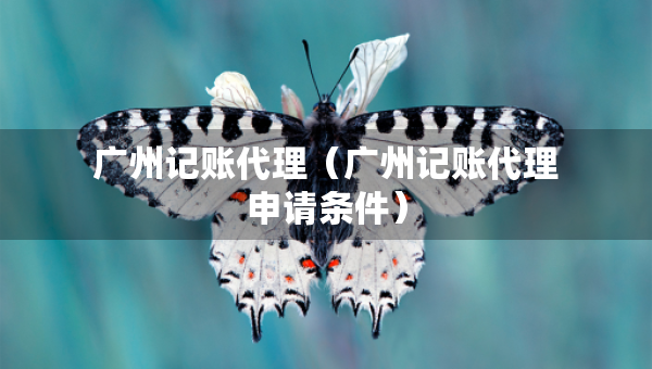 廣州記賬代理（廣州記賬代理申請(qǐng)條件）