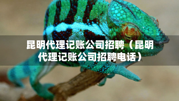 昆明代理記賬公司招聘（昆明代理記賬公司招聘電話）