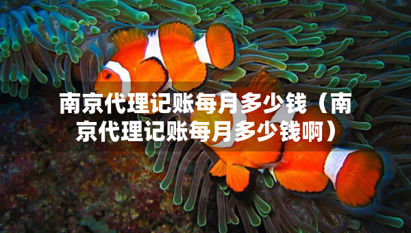 南京代理記賬每月多少錢（南京代理記賬每月多少錢啊）