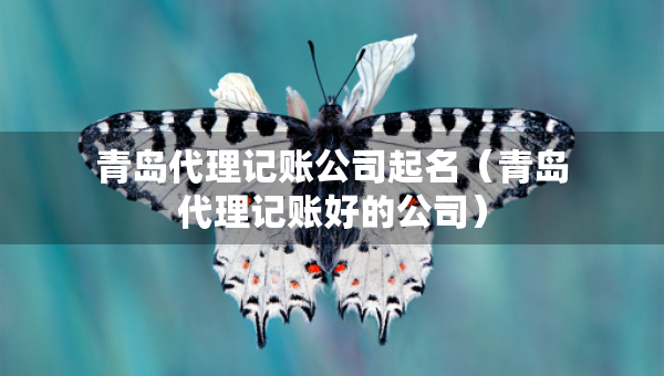 青島代理記賬公司起名（青島代理記賬好的公司）