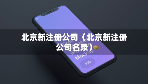 北京新注冊(cè)公司（北京新注冊(cè)公司名錄）