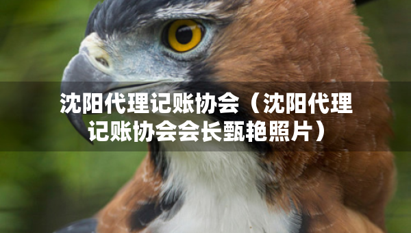 沈陽代理記賬協(xié)會(huì)（沈陽代理記賬協(xié)會(huì)會(huì)長甄艷照片）