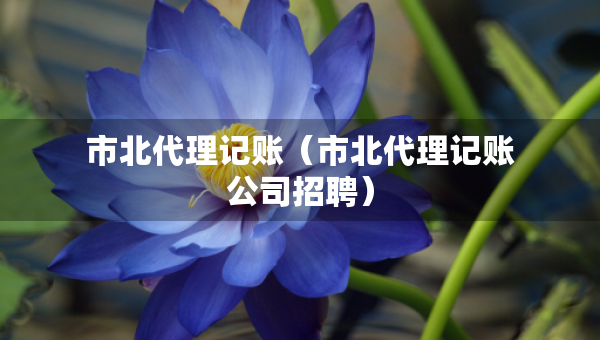 市北代理記賬（市北代理記賬公司招聘）