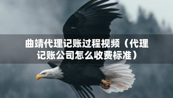 曲靖代理記賬過(guò)程視頻（代理記賬公司怎么收費(fèi)標(biāo)準(zhǔn)）