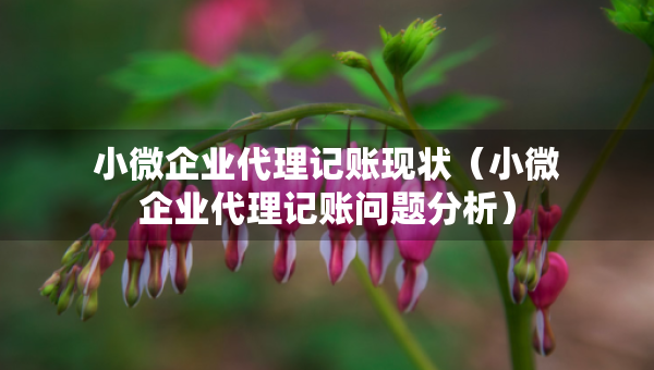小微企業(yè)代理記賬現(xiàn)狀（小微企業(yè)代理記賬問(wèn)題分析）