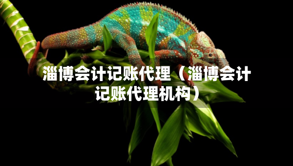 淄博會計(jì)記賬代理（淄博會計(jì)記賬代理機(jī)構(gòu)）