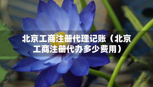 北京工商注冊代理記賬（北京工商注冊代辦多少費用）