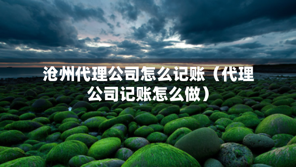 滄州代理公司怎么記賬（代理公司記賬怎么做）