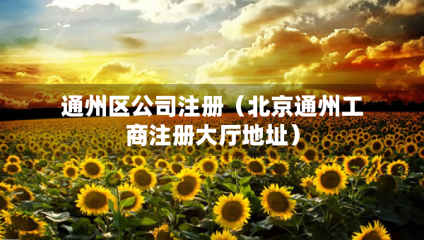 通州區(qū)公司注冊(cè)（北京通州工商注冊(cè)大廳地址）