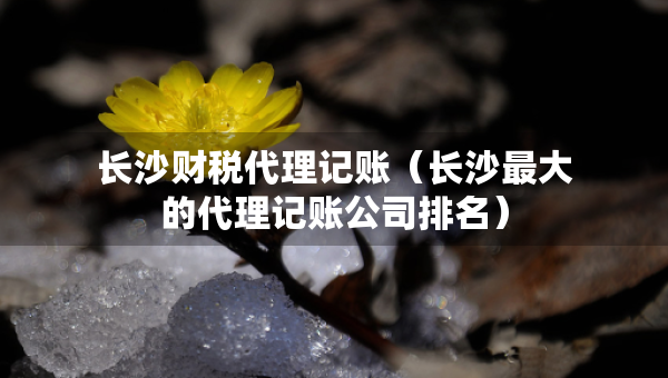 長沙財(cái)稅代理記賬（長沙最大的代理記賬公司排名）