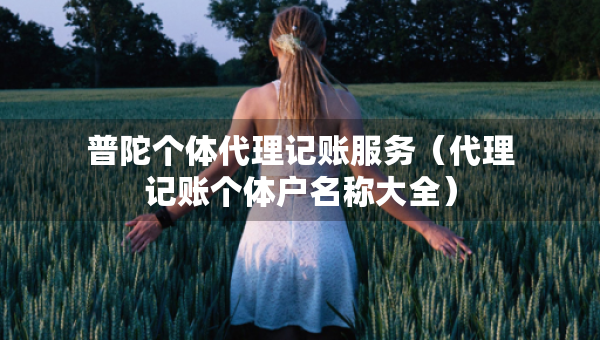 普陀個(gè)體代理記賬服務(wù)（代理記賬個(gè)體戶名稱(chēng)大全）