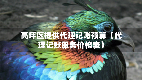 高坪區(qū)提供代理記賬預(yù)算(代理記賬服務(wù)價(jià)格表) 高坪區(qū)提供代理記賬預(yù)算(代理記賬服務(wù)價(jià)格表)