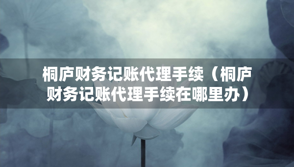 桐廬財(cái)務(wù)記賬代理手續(xù)（桐廬財(cái)務(wù)記賬代理手續(xù)在哪里辦）