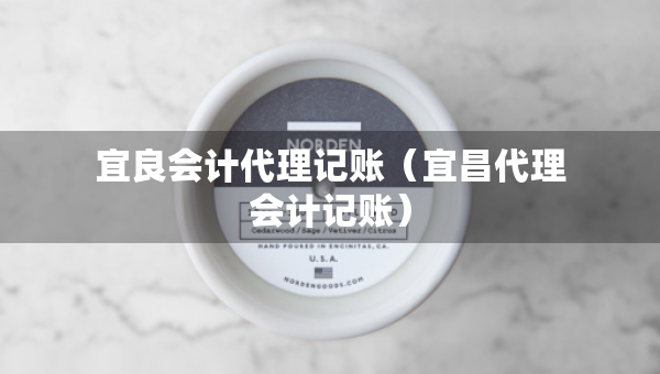 宜良會計代理記賬(宜昌代理會計記賬) 宜良會計代理記賬(宜昌代理會計記賬)